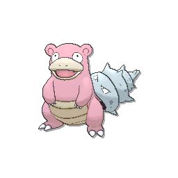 Slowbro Pokédex: stats, moves, evolution & locations.